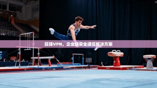 延锋VPN，企业级安全通信解决方案