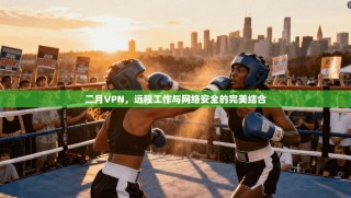 二月VPN，远程工作与网络安全的完美结合