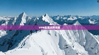 VPN配置文件详解