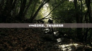 VPN尼日利亚，了解与选择指南