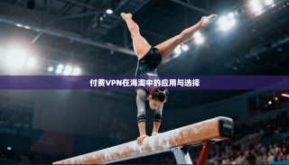 付费VPN在海淘中的应用与选择