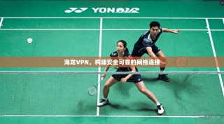 海龙VPN，构建安全可靠的网络连接