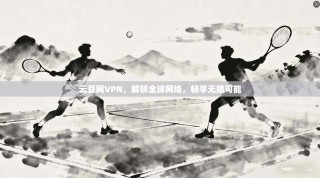 云豆网VPN，解锁全球网络，畅享无限可能