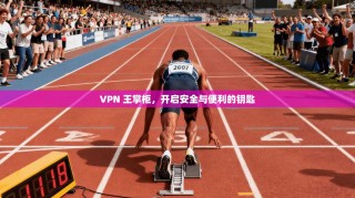 VPN 王掌柜，开启安全与便利的钥匙