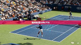 如何配置VPN P10