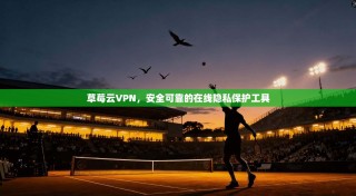 草莓云VPN，安全可靠的在线隐私保护工具