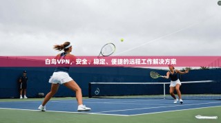 白鸟VPN，安全、稳定、便捷的远程工作解决方案