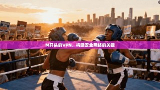 M开头的VPN，构建安全网络的关键