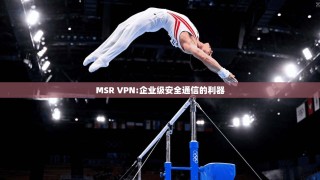 MSR VPN:企业级安全通信的利器