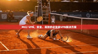 MX2 VPN，安全、高效的企业级VPN解决方案