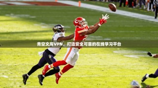 青空文库VPN，打造安全可靠的在线学习平台