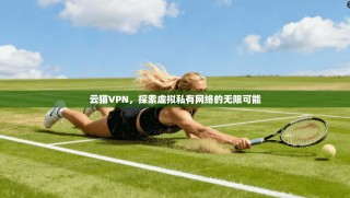 云猫VPN，探索虚拟私有网络的无限可能