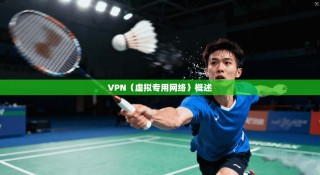 VPN（虚拟专用网络）概述