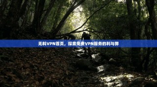 无料VPN首页，探索免费VPN服务的利与弊