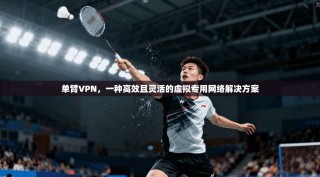 单臂VPN，一种高效且灵活的虚拟专用网络解决方案