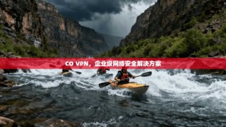 CO VPN，企业级网络安全解决方案
