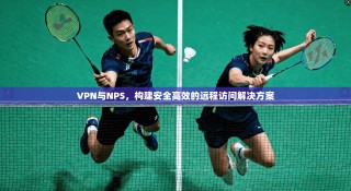 VPN与NPS，构建安全高效的远程访问解决方案
