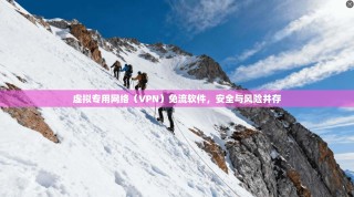 虚拟专用网络（VPN）免流软件，安全与风险并存
