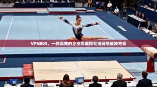 VPN803，一种高效的企业级虚拟专用网络解决方案