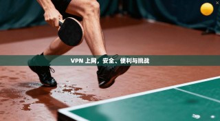 VPN 上网，安全、便利与挑战