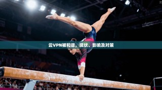 云VPN被和谐，现状、影响及对策