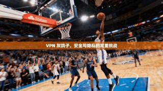 VPN 灰鸽子，安全与隐私的双重挑战