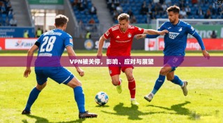 VPN被关停，影响、应对与展望