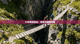 VPN免流地址，选择与使用指南
