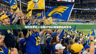 如何在手机上设置VPN以增强隐私和安全