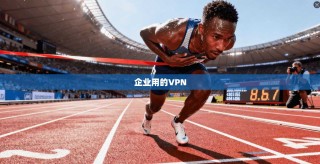 企业用的VPN