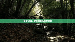 免费VPN，安全与隐私的双刃剑