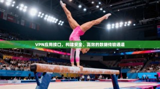 VPN应用接口，构建安全、高效的数据传输通道