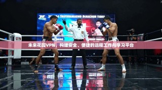 未来花园VPN，构建安全、便捷的远程工作与学习平台