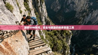 国税VPN账号，安全与便捷的税务管理工具