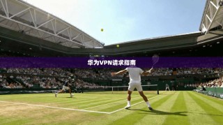 华为VPN请求指南