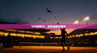 VPN独享IP，如何选择和使用