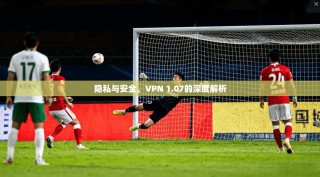 隐私与安全，VPN 1.07的深度解析