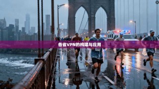 各省VPN的构建与应用