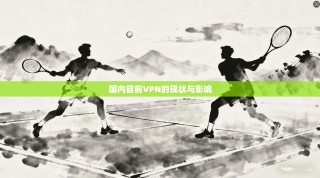 国内目前VPN的现状与影响