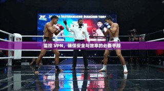 监控 VPN，确保安全与效率的必要手段
