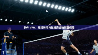 软件 VPN，远程访问与数据安全的双重保障