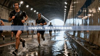 SVN与VPN，协同工作中的最佳拍档