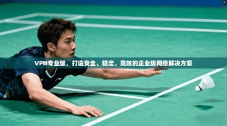 VPN专业版，打造安全、稳定、高效的企业级网络解决方案