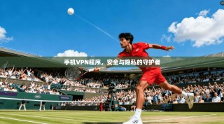 手机VPN程序，安全与隐私的守护者
