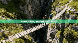 VPN文件共享，安全与便利的完美结合