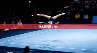 什么是刺客VPN？