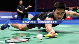 国内VPN官网，选择与安全的平衡点