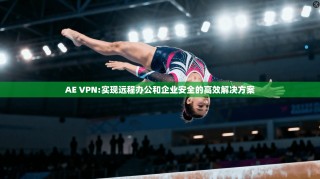 AE VPN:实现远程办公和企业安全的高效解决方案