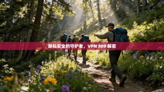 隐私安全的守护者，VPN 809 解密
