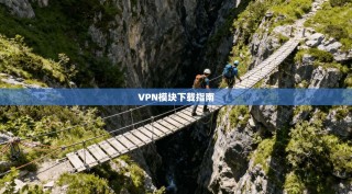 VPN模块下载指南
